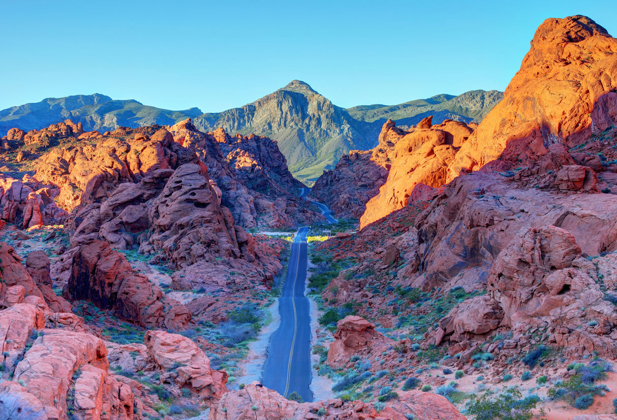 HelloNevada.com Domain Name for Nevada