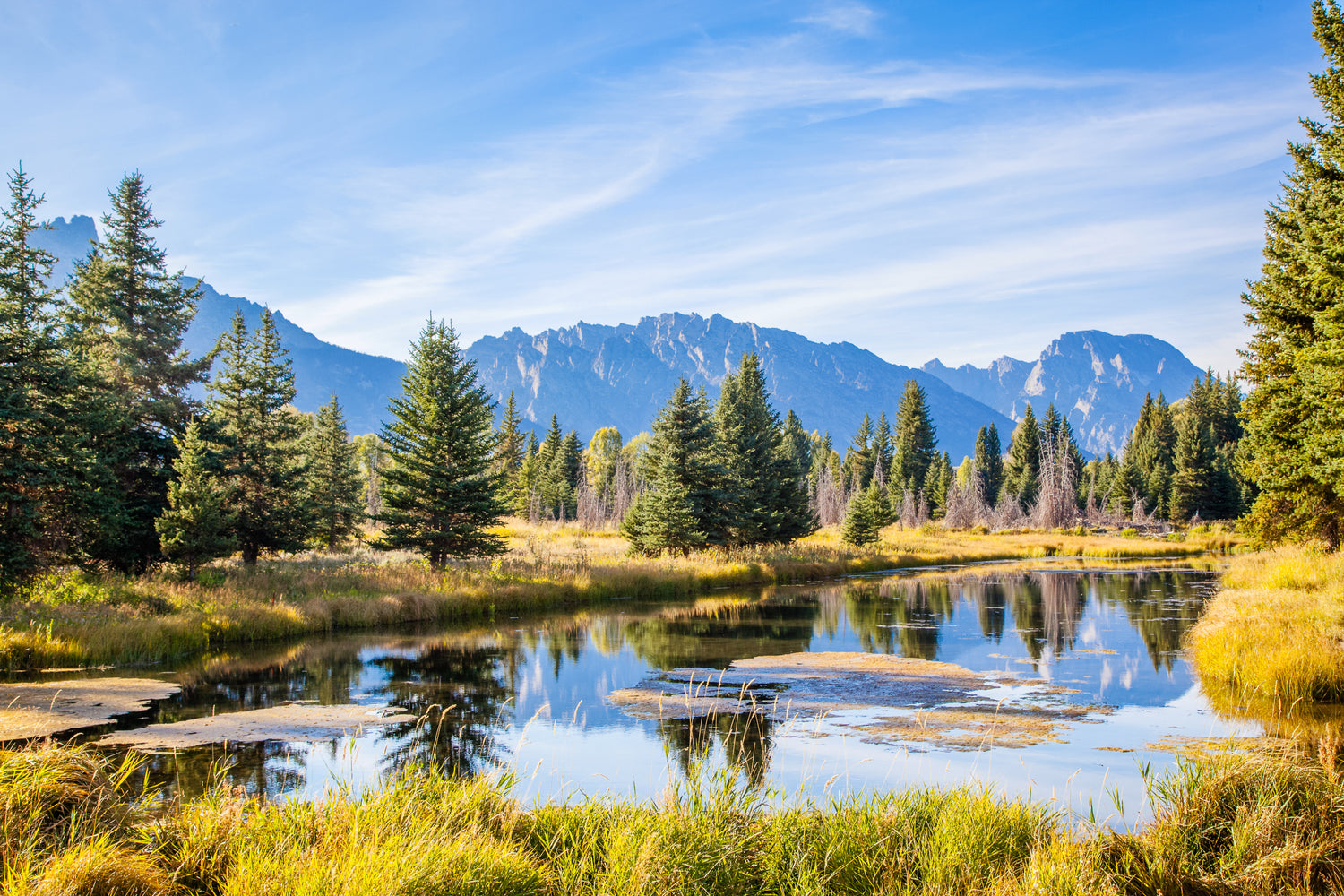 HelloWyoming.com Domain Name for Wyoming