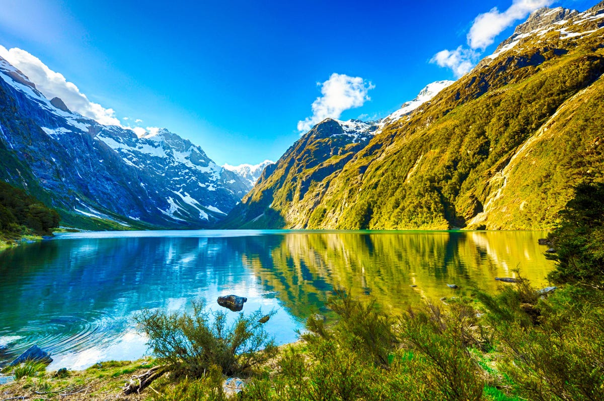 HelloNewZealand.com Domain Name for New Zealand