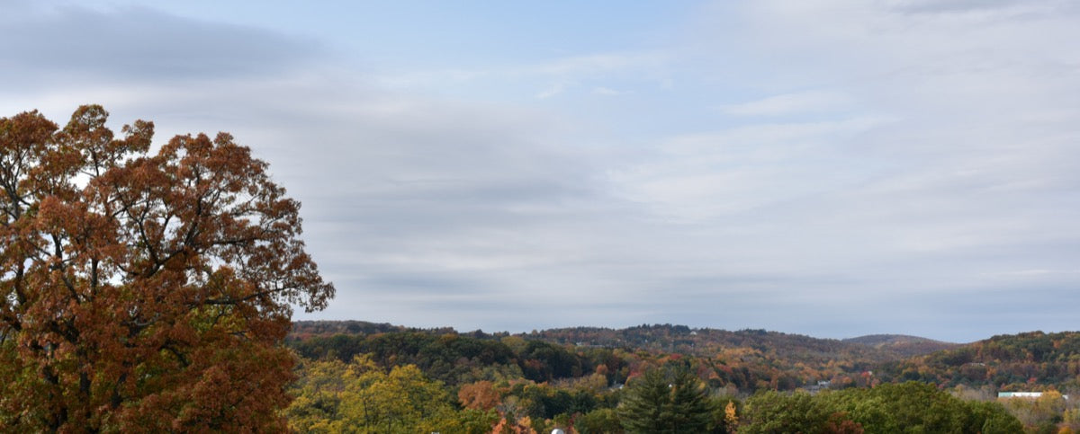Danbury