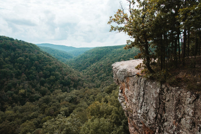 Fayetteville