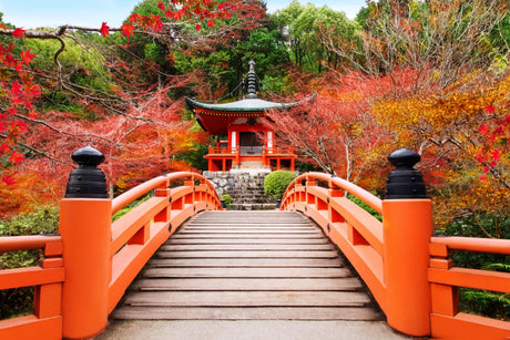 Kyoto