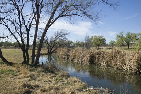 Lubbock