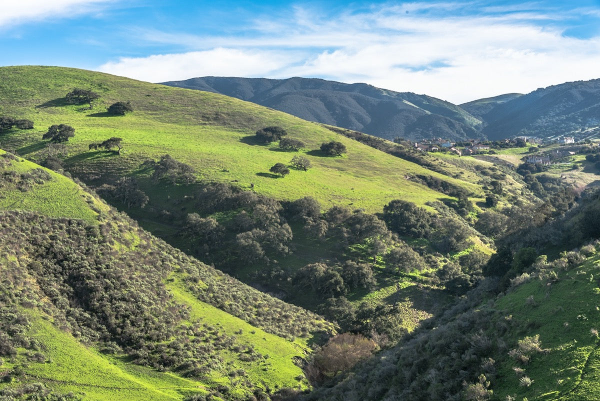 Salinas