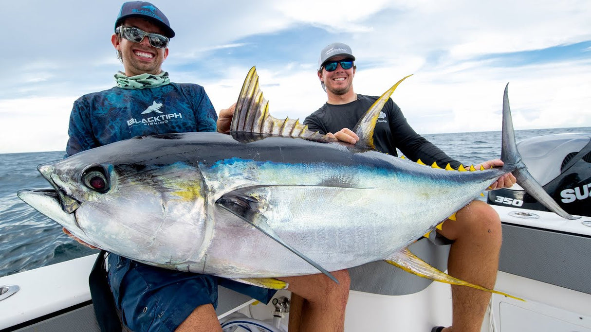 hellotuna.com Domain Name