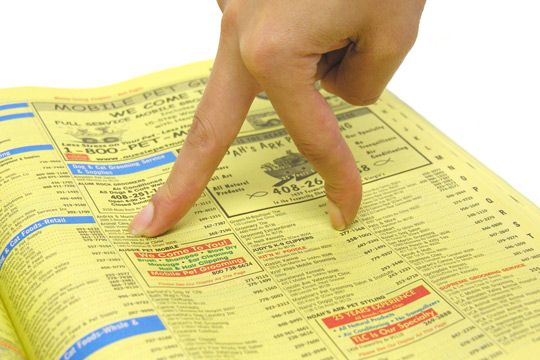 helloyellowpages.com Domain Name